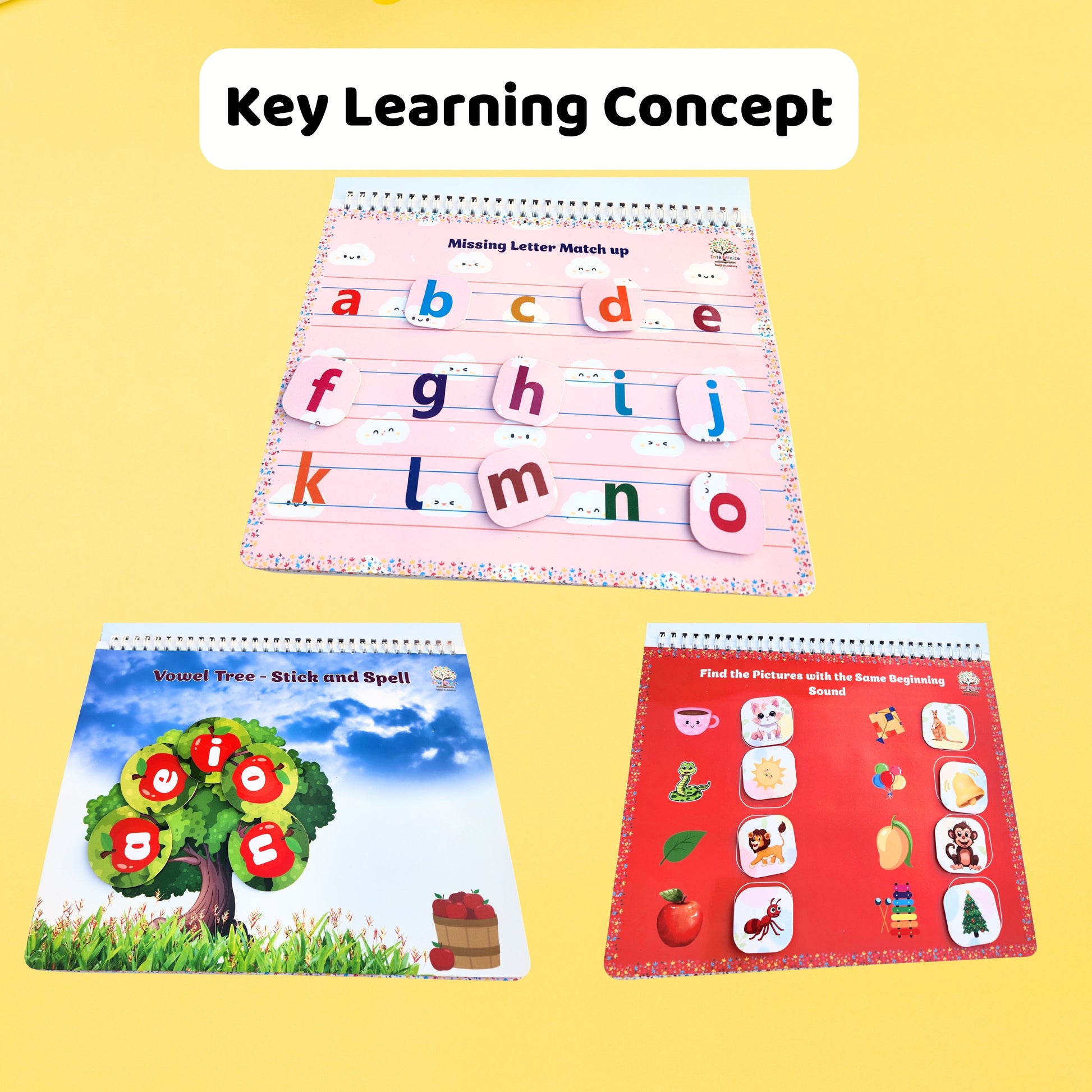 a b c d activity velcro stick on Concep vowel fun sound match